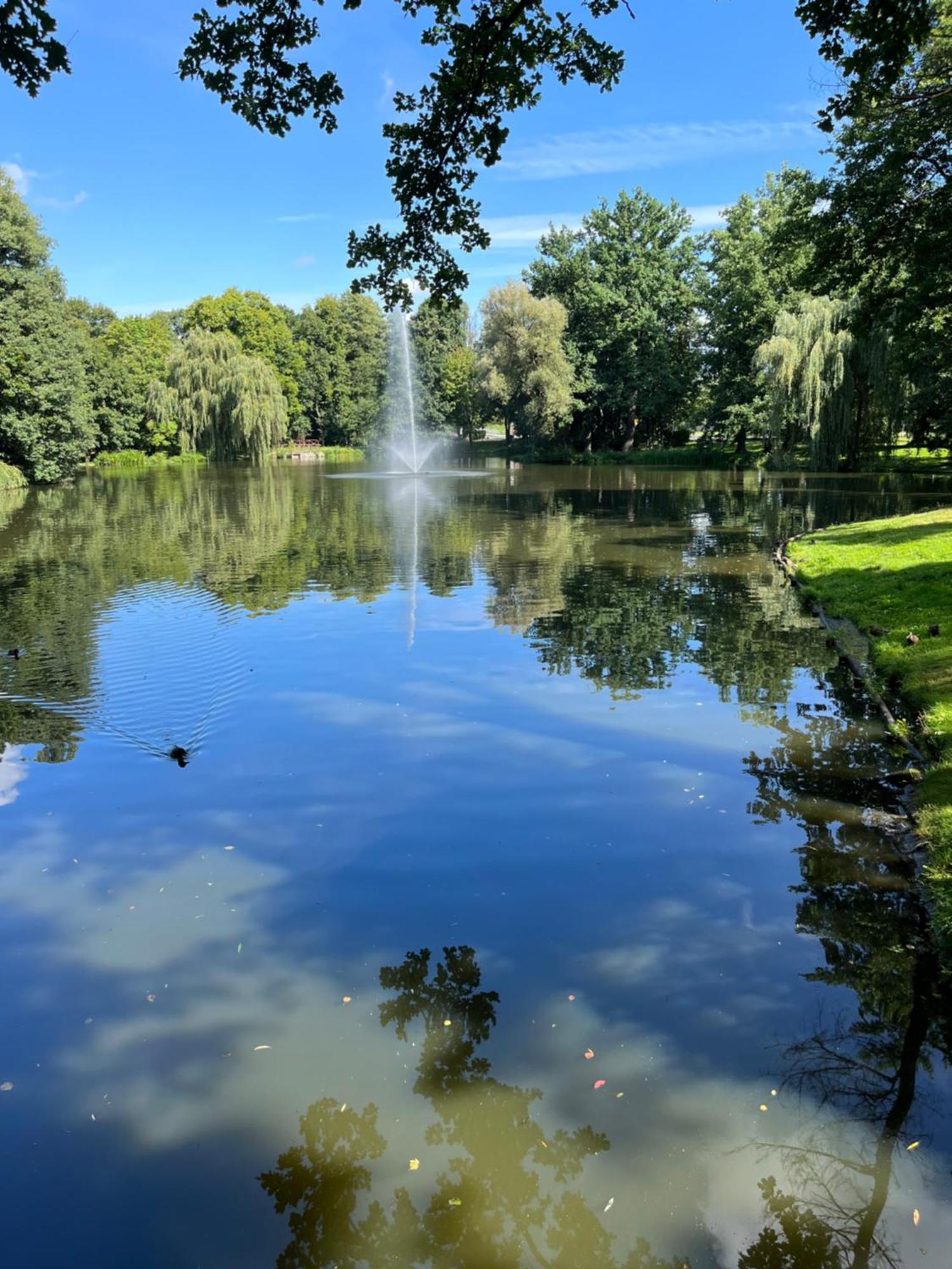 Sweet Home Cieplice Mountain View Apartament By The Main Park And Thermal Pools Еленя-Гура Экстерьер фото